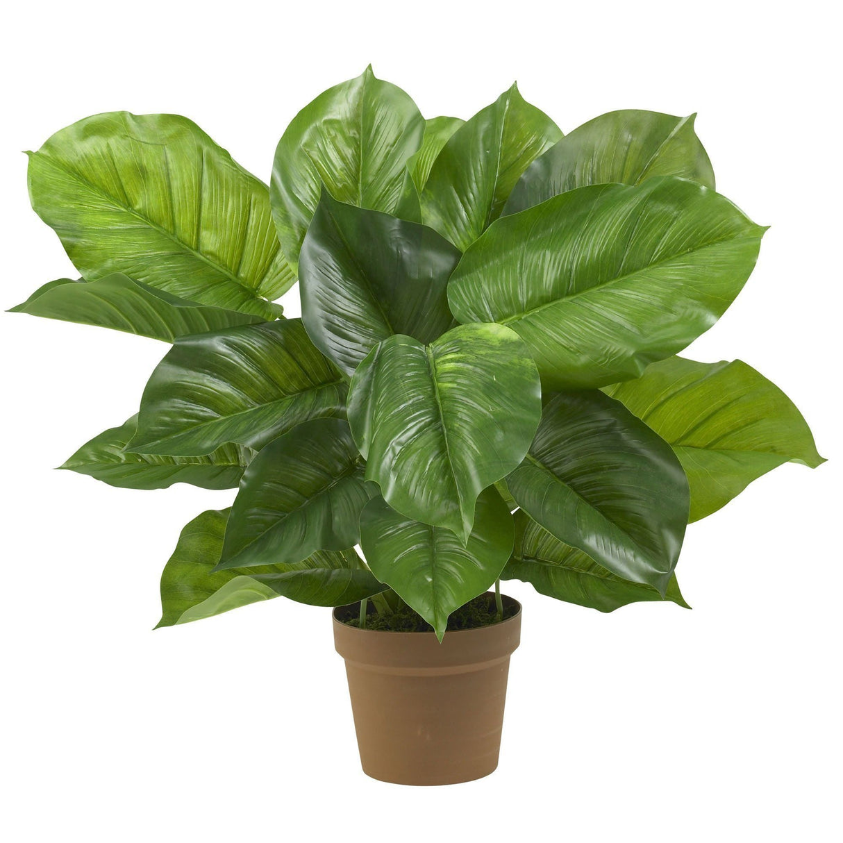 Large Leaf Philodendron Silk Plant (Real Touch) by Nearly Natural