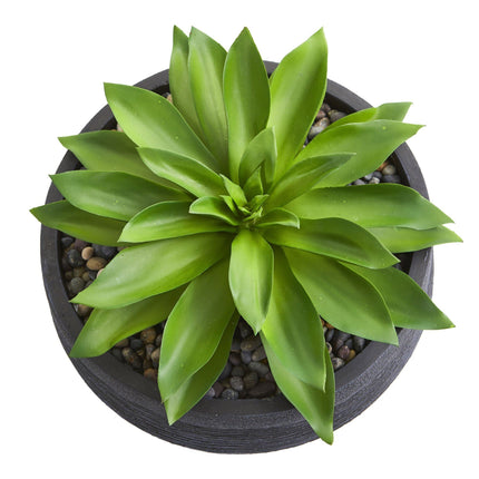 Large Succulent Artificial Plant in Decorative Bowl by Nearly Natural