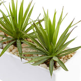 Mini Agave in Rectangular Ceramic by Nearly Natural