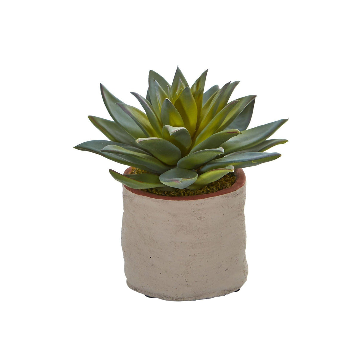 Mixed Succulent Artificial Plant (Set of 4) by Nearly Natural