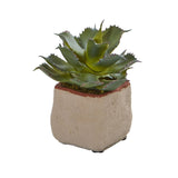 Mixed Succulent Artificial Plant (Set of 4) by Nearly Natural