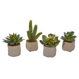 Mixed Succulent Artificial Plant (Set of 4) by Nearly Natural