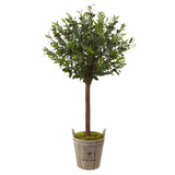 Olive Topiary Tree with Farmhouse Planter by Nearly Natural