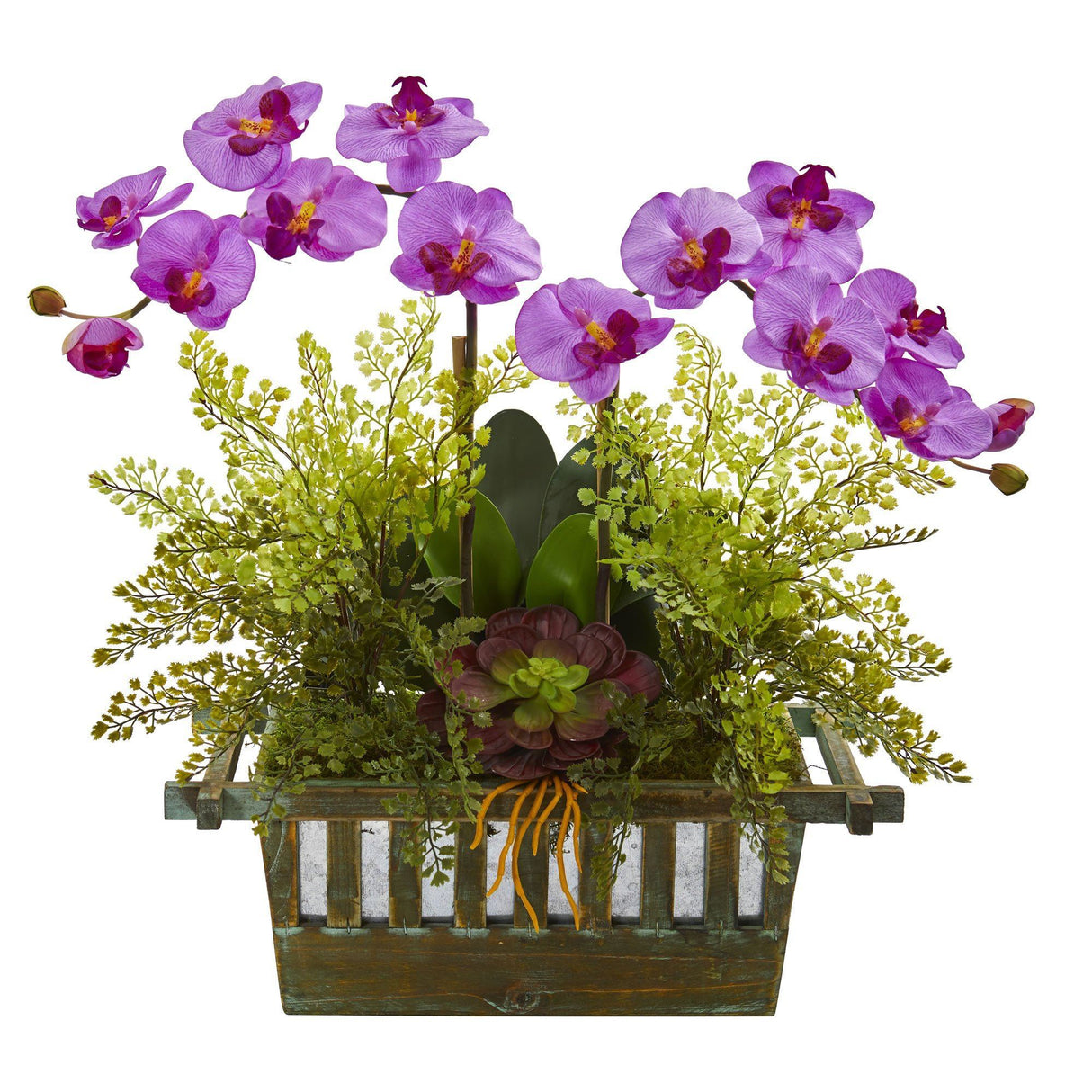 Orchid, Succulent and Maiden Hair Artificial Arrangement by Nearly Natural