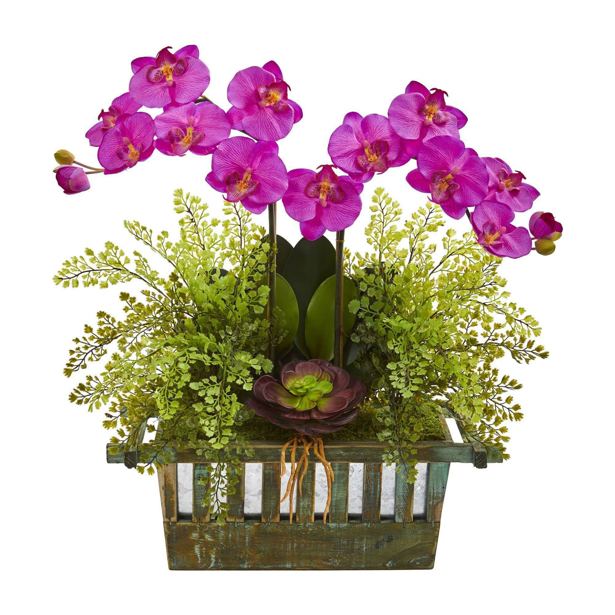 Orchid, Succulent and Maiden Hair Artificial Arrangement by Nearly Natural