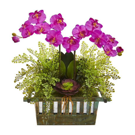 Orchid, Succulent and Maiden Hair Artificial Arrangement by Nearly Natural