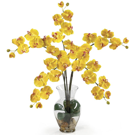 Phalaenopsis Liquid Illusion Silk Flower Arrangement by Nearly Natural