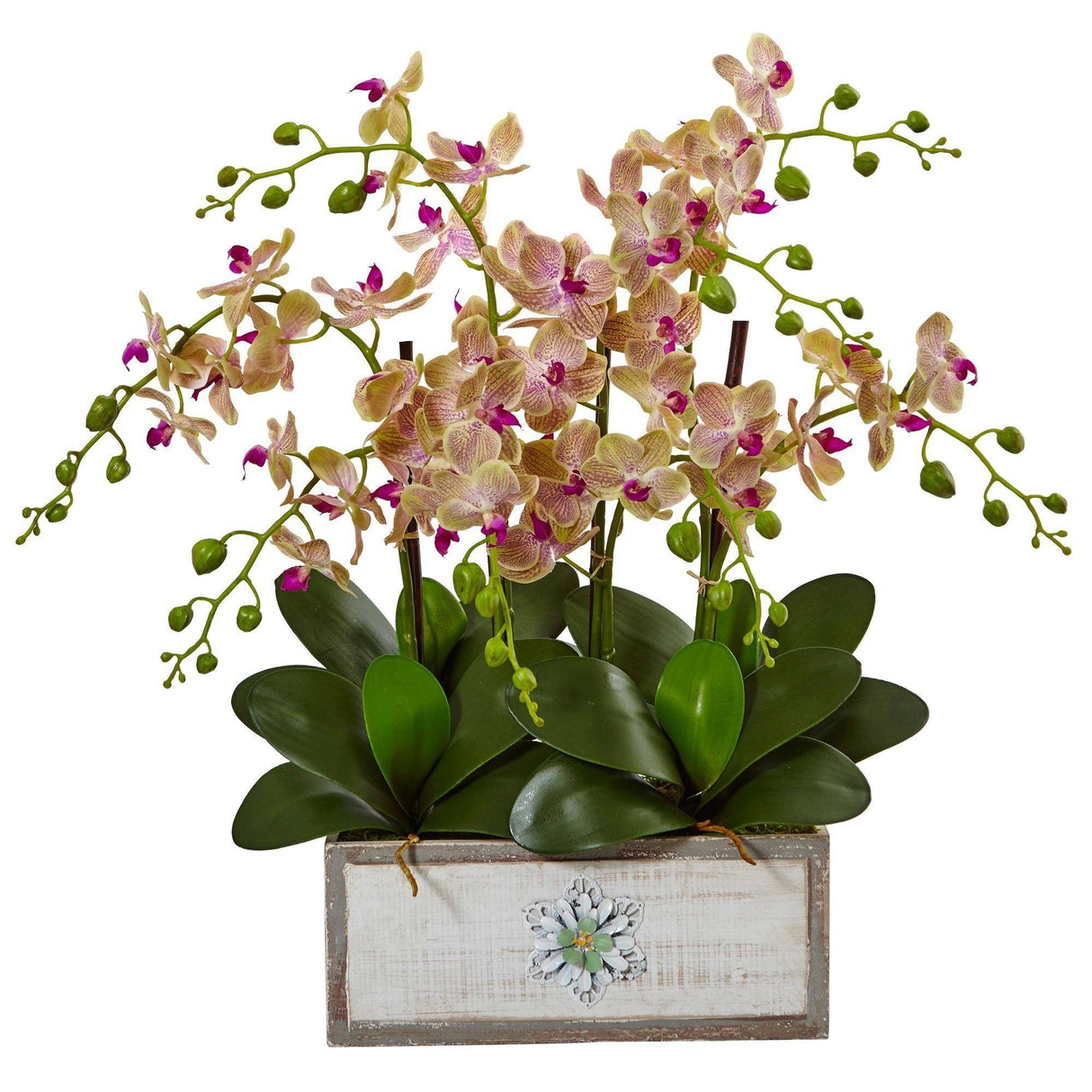 Phalaenopsis Orchid Arrangement in Decorative Wood Vase by Nearly Natural