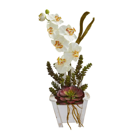 Phalaenopsis Orchid & Succulent Artificial Arrangement in Chair Planter by Nearly Natural