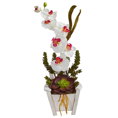 Phalaenopsis Orchid & Succulent Artificial Arrangement in Chair Planter by Nearly Natural