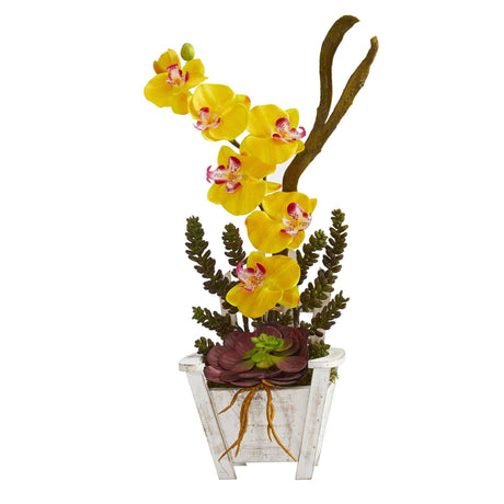 Phalaenopsis Orchid & Succulent Artificial Arrangement in Chair Planter by Nearly Natural