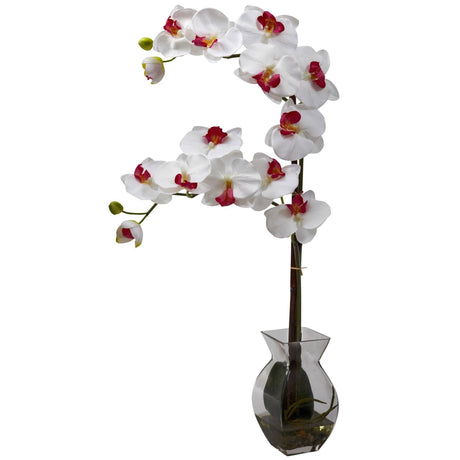 Phalaenopsis Orchid w/Vase Arrangement by Nearly Natural