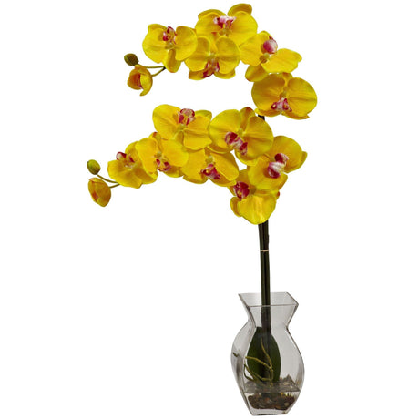 Phalaenopsis Orchid w/Vase Arrangement by Nearly Natural