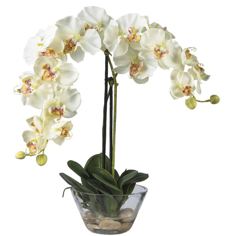 Phalaenopsis w/Glass Vase Silk Flower Arrangement by Nearly Natural