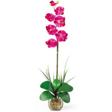 Single Phalaenopsis Liquid Illusion Silk Flower Arrangement by Nearly Natural