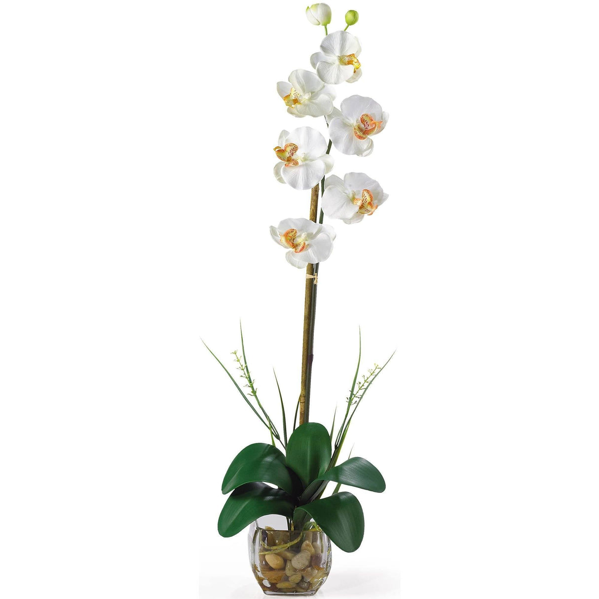 Single Phalaenopsis Liquid Illusion Silk Flower Arrangement by Nearly Natural