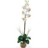 Single Phalaenopsis Liquid Illusion Silk Flower Arrangement by Nearly Natural