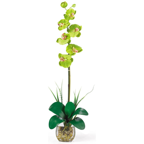 Single Phalaenopsis Liquid Illusion Silk Flower Arrangement by Nearly Natural