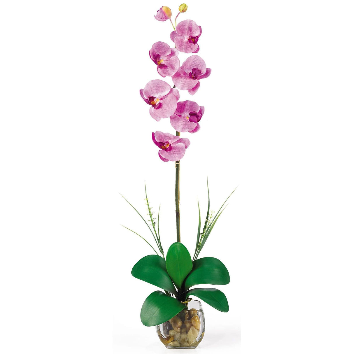 Single Phalaenopsis Liquid Illusion Silk Flower Arrangement by Nearly Natural