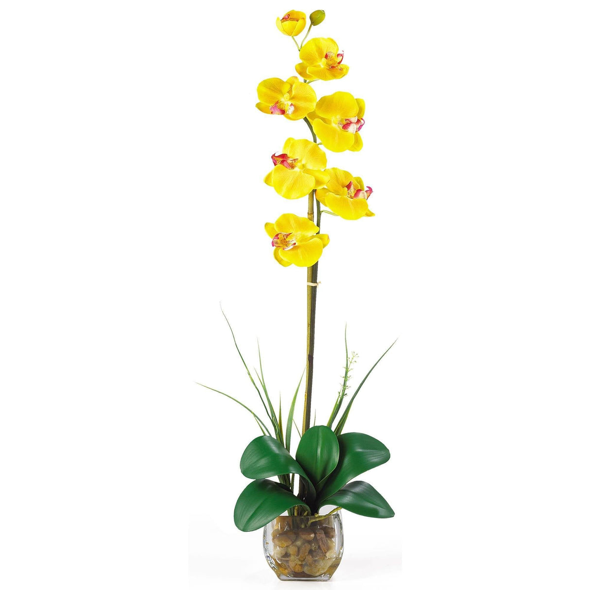 Single Phalaenopsis Liquid Illusion Silk Flower Arrangement by Nearly Natural