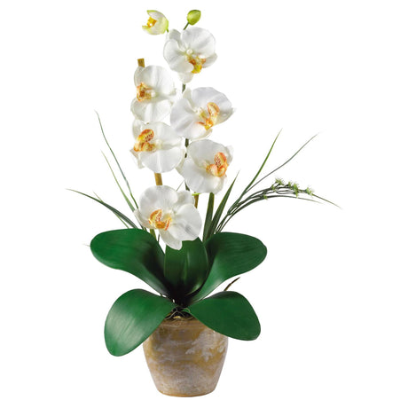 Single Stem Phalaenopsis Silk Orchid Arrangement by Nearly Natural