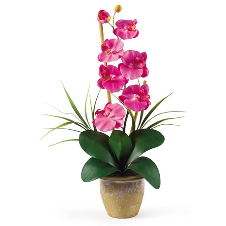 Single Stem Phalaenopsis Silk Orchid Arrangement by Nearly Natural