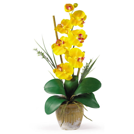 Single Stem Phalaenopsis Silk Orchid Arrangement by Nearly Natural