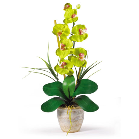 Single Stem Phalaenopsis Silk Orchid Arrangement by Nearly Natural