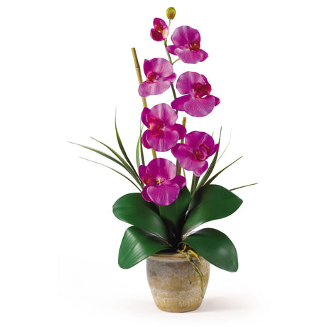 Single Stem Phalaenopsis Silk Orchid Arrangement by Nearly Natural