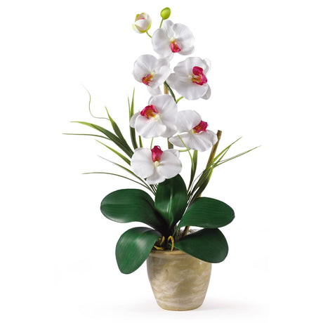 Single Stem Phalaenopsis Silk Orchid Arrangement by Nearly Natural