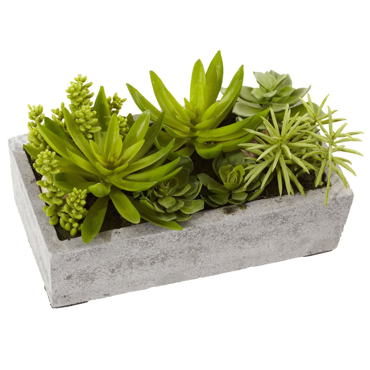 Succulent Garden w/Concrete Planter by Nearly Natural