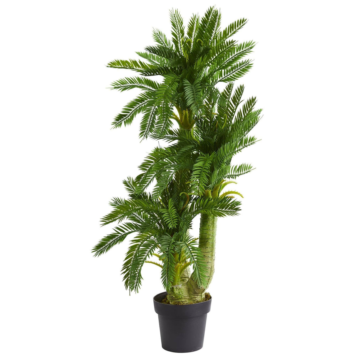 Triple Potted Cycas Artificial Plant by Nearly Natural