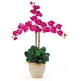 Triple Stem Phalaenopsis Silk Orchid Arrangement by Nearly Natural