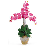 Triple Stem Phalaenopsis Silk Orchid Arrangement by Nearly Natural