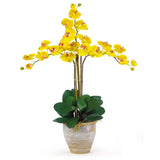 Triple Stem Phalaenopsis Silk Orchid Arrangement by Nearly Natural