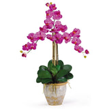 Triple Stem Phalaenopsis Silk Orchid Arrangement by Nearly Natural