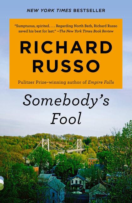 Somebody's Fool - Paperback by Books by splitShops