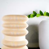 BANDES Vase by Rosebud HomeGoods