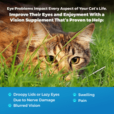 Cat Eye Infection, Eye Care & Vision Support by BestLife4Pets