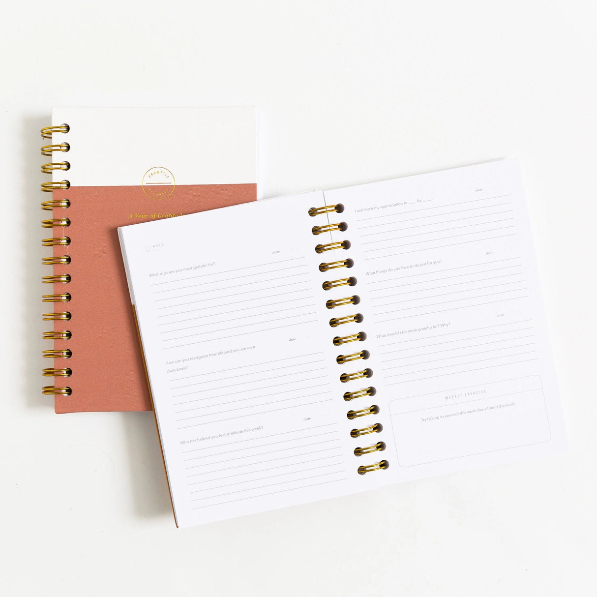 Gratitude Journal - Amber Linen by Promptly Journals