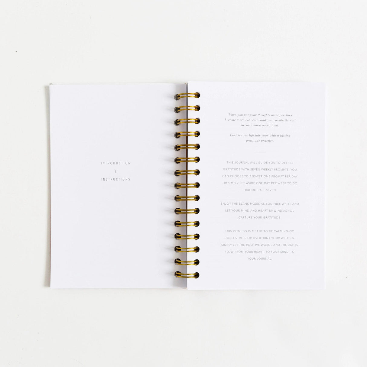 Gratitude Journals - Sea Foam by Promptly Journals