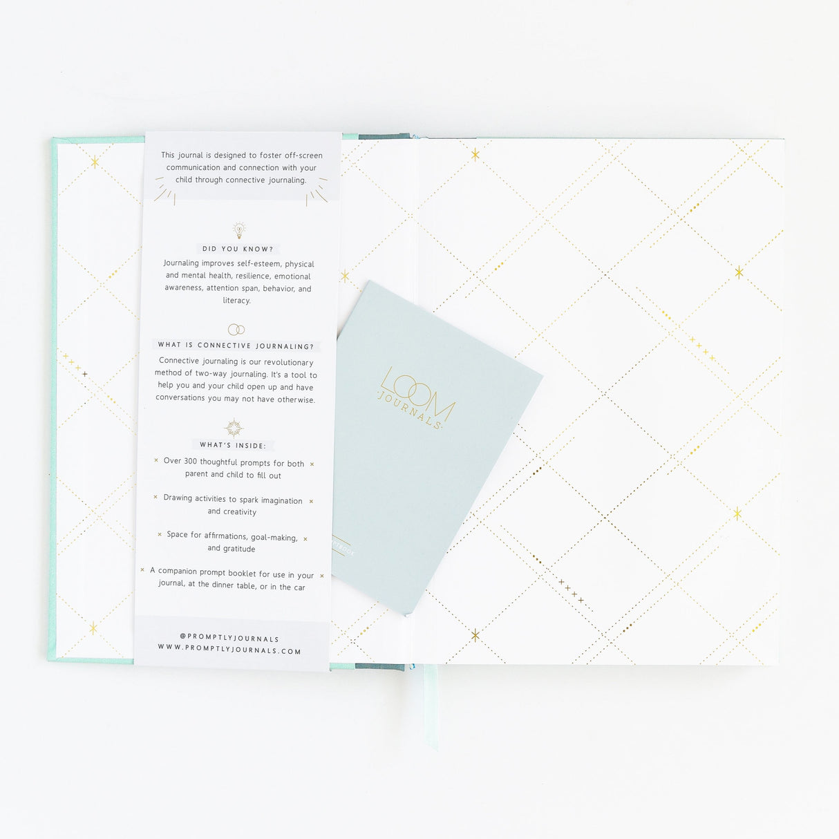 Our Parent + Child Connection Journal: Spark Creativity, Start Conversations (Mint) by Promptly Journals