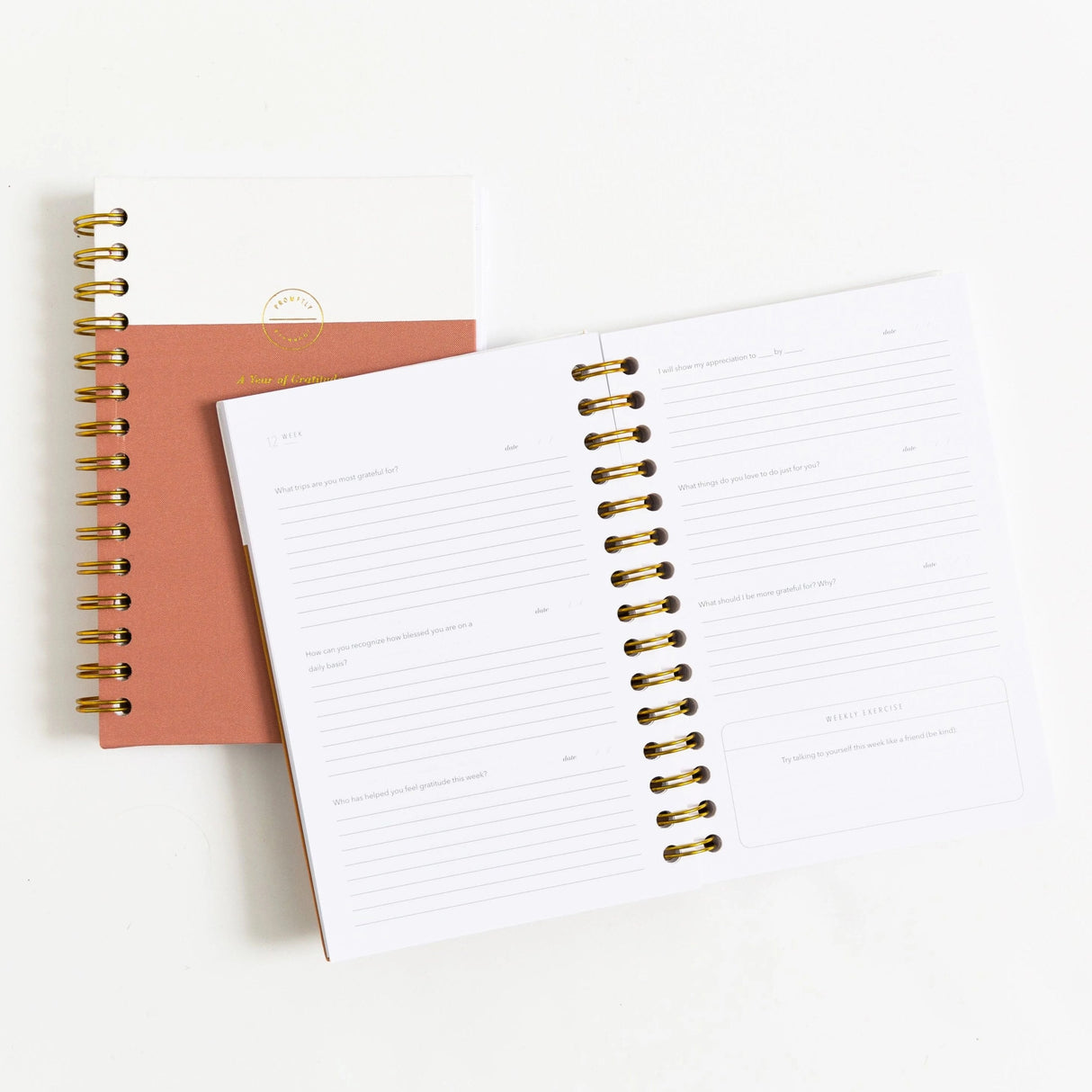 Gratitude Journals - Sea Foam by Promptly Journals