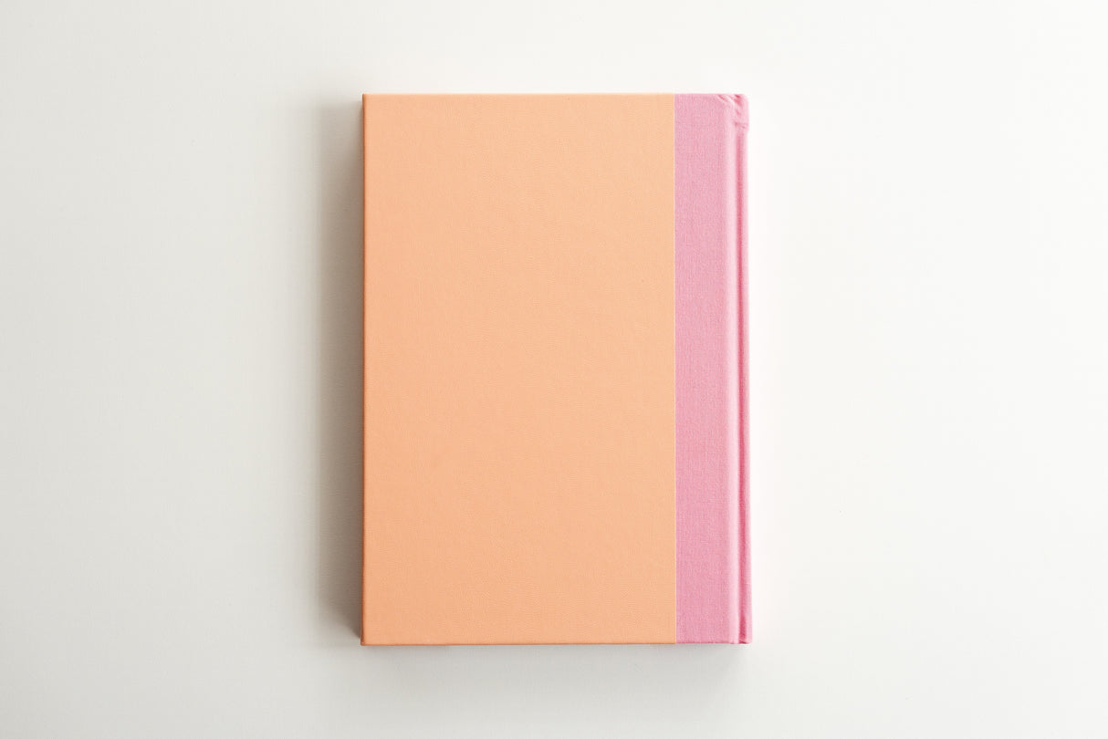 Our Connection Journal: An Exploration for Two Siblings (Clementine) by Promptly Journals