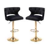 Set of 2 Modern Fashionable Velvet Bar Stools by Blak Hom