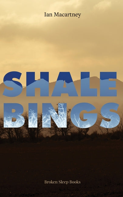 Shale Bings - Paperback by Books by splitShops