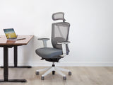 AeryChair Ergonomic Office Chair by EFFYDESK by Level Up Desks