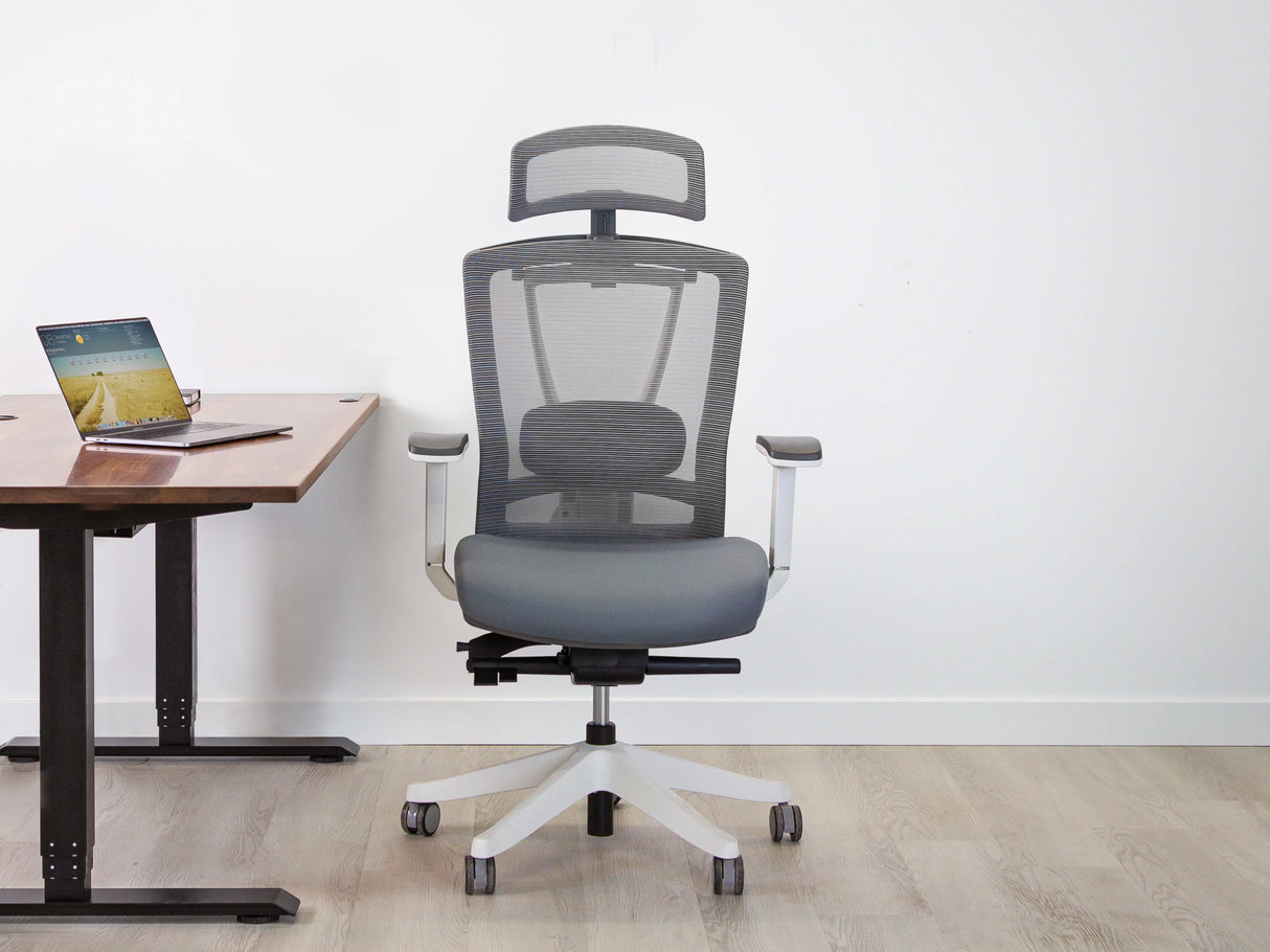 AeryChair Ergonomic Office Chair by EFFYDESK by Level Up Desks