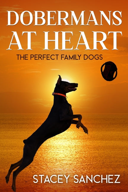 Dobermans at Heart - Paperback by Books by splitShops