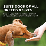 Healthy Skin & Coat for Dogs by BestLife4Pets